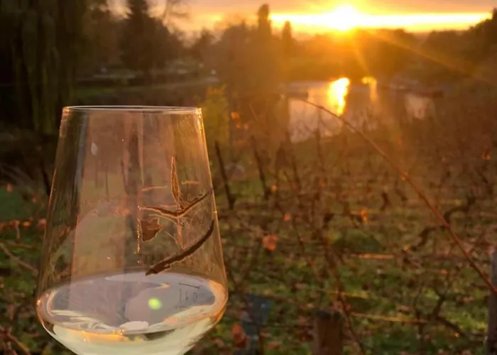 Koenitz, Ricarda Lägenhet *